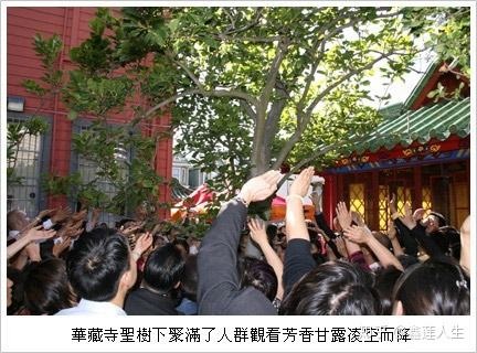 正法宝典