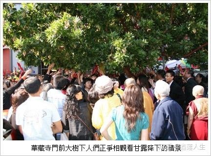 正法宝典