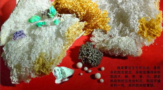 禄东赞法王