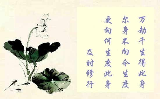 修行