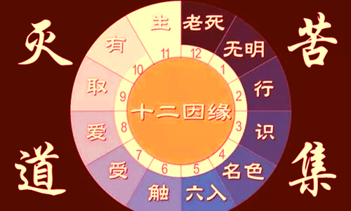 皈依