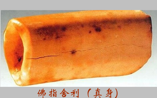 舍利花