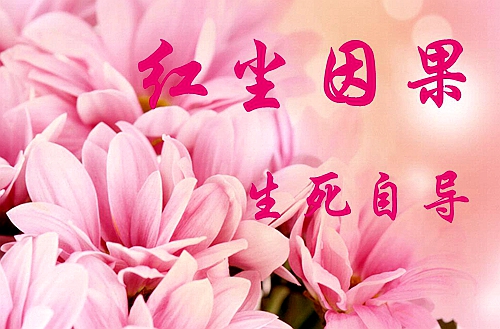 因果